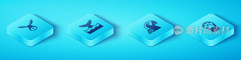 Set Isometric Rabbit head, Whale tail in ocean wave, Paw print and Macaw parrot icon. Vector